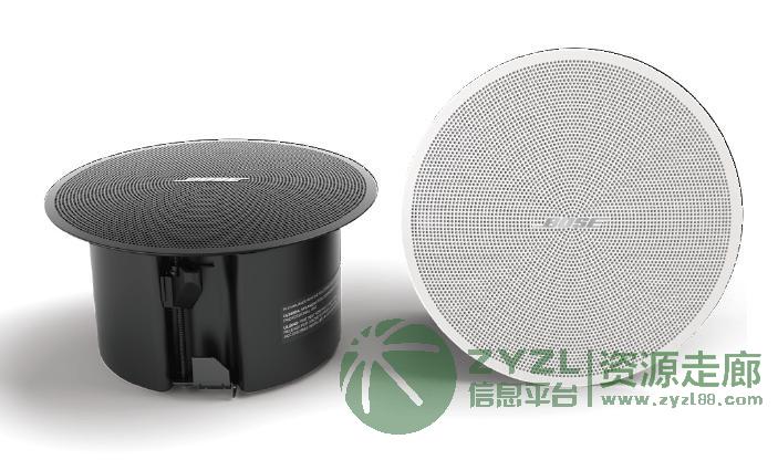 BOSE DesignMax DM2C-LP 全频吸顶扬声器