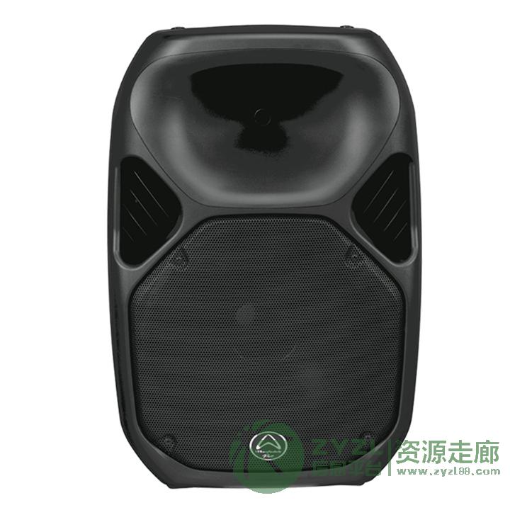 乐富豪 TITAN 15 15寸 塑壳全频音箱