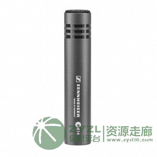 北京雨田 森海塞尔 e 614 电容乐器话筒